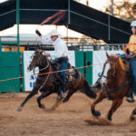 APRAfinals_414869_01