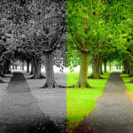 choice_451325_01