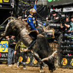 Fielder_456534_01