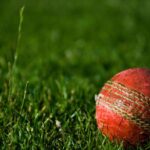 cricketgen_301547_02