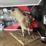 buck_464050_03