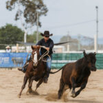 rodeo_501390_02