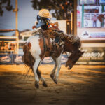 rodeo_501390_04