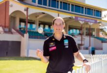 Berry stars for the Heat