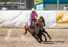 REGIONAL: Condamine Bell campdraft kicks off Triple crown