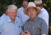 Former MP urges coal royalties rethink