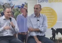 Coal still needs local workers