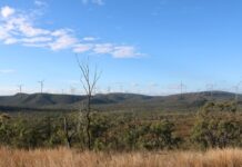 Moonlight AI accusations