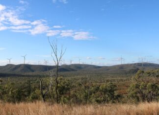 Moonlight AI accusations