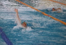 Stars shine during Twilight