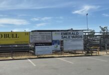 Limited number at final Emerald sale for 2025