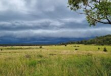Building more profitable, resilient grazing enterprises