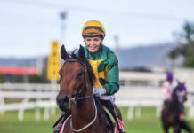 Noffke busy at the Magic Millions