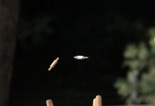 Barton Shield powers into the New Year