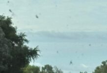 Flash flooding catches out driver