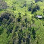 1909REINKE_501739_04