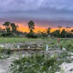 1909REINKE_501739_08