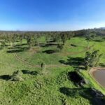 1909REINKE_501739_10