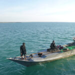 IllegalFis_532068_01