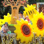 sunflower_399357_19-1