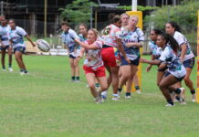 Stars of Highlands named