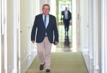 Boyce opposes expanding Parliament