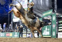 Fielder ready for finals