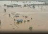 Three new projects to boost Clermont’s flood resilience