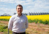 Weather and costs lead to smaller winter crops
